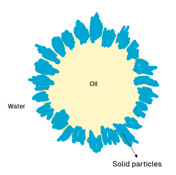 Schematic illustration of an oil droplet in a Pickering emulsion